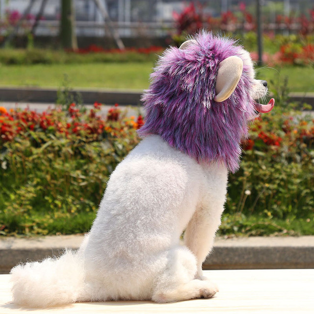 Peruka kota z lwia grzywą dla małych psów - kostium zwierzęcy na Halloween - Wianko - 30