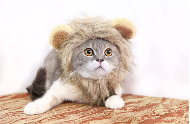 Peruka kota z lwia grzywą dla małych psów - kostium zwierzęcy na Halloween - Wianko - 21
