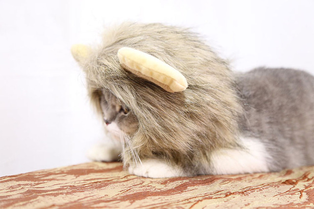 Peruka kota z lwia grzywą dla małych psów - kostium zwierzęcy na Halloween - Wianko - 24