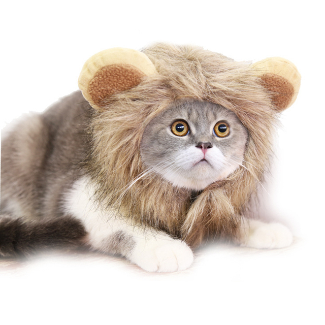 Peruka kota z lwia grzywą dla małych psów - kostium zwierzęcy na Halloween - Wianko - 14