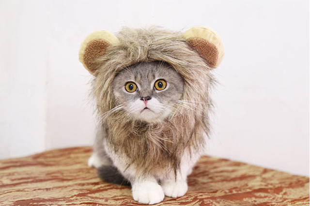 Peruka kota z lwia grzywą dla małych psów - kostium zwierzęcy na Halloween - Wianko - 23