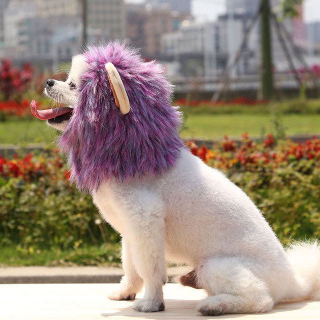 Peruka kota z lwia grzywą dla małych psów - kostium zwierzęcy na Halloween - Wianko - 29
