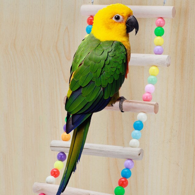 Zabawka do wspinaczki dla papug z kolorowymi kulami i drabiną z naturalnego drewna - Wianko - 4
