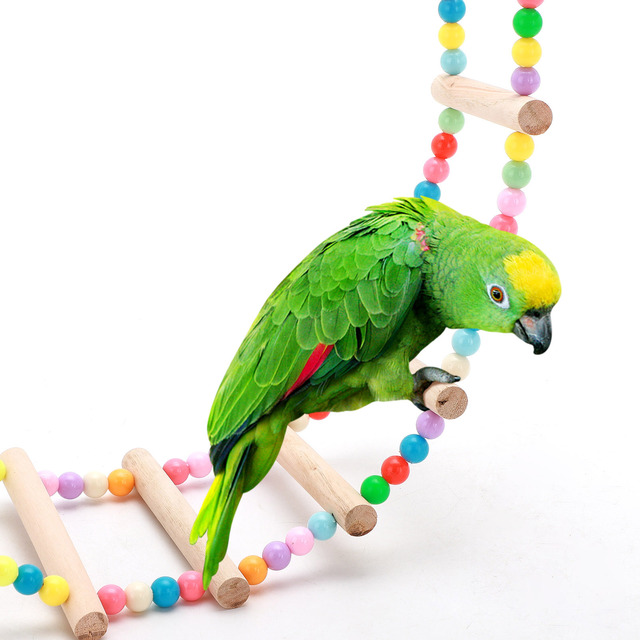Zabawka do wspinaczki dla papug z kolorowymi kulami i drabiną z naturalnego drewna - Wianko - 3