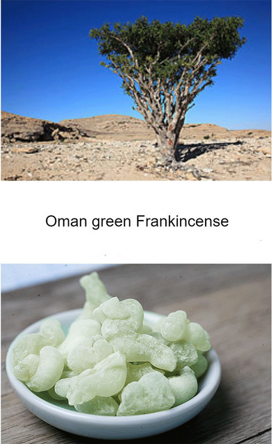 Somalijskie organiczne bloki kadzidła z chińskimi ziołami - lecznicze, do codziennego zamiatania, w stylu francuskim Papilla sułtan omanu - Wianko - 9