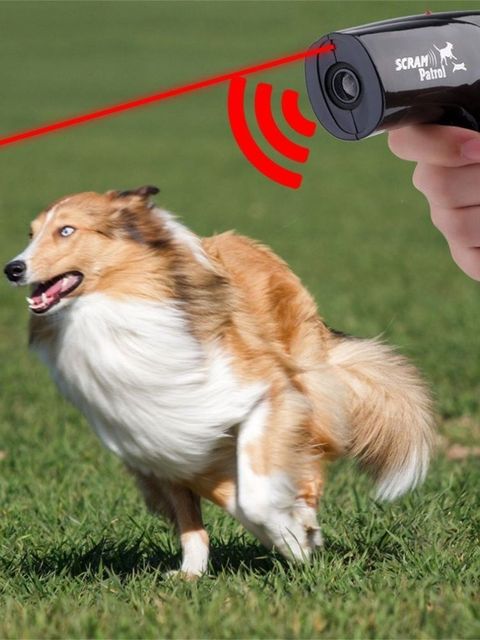 Urządzenie do tresury i odstraszania zwierząt domowych - ultradźwiękowy zewnętrzny czujnik ruchu dla psów i kotów z odstraszającym laserem - Wianko - 7