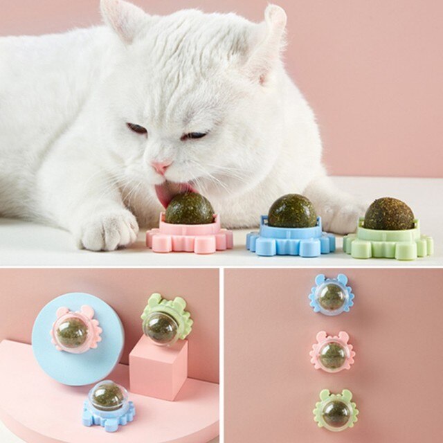 Naturalna kocimiętka zabawkowa piłka interaktywna dla kota - Wianko - 9