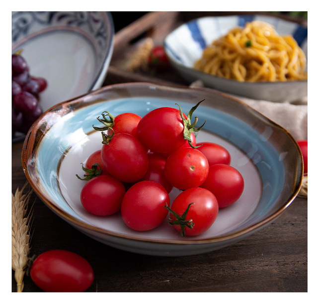 Miseczki ceramiczne w japońskim stylu - rodzinna zastawa stołowa, ręcznie malowane - idealne na zupę, owoce, makaron, sałatkę i inne potrawy - Wianko - 12