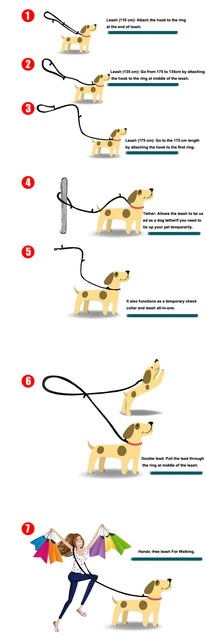 Wielofunkcyjna regulowana smycz dla psa Truelove 7w1 - odblaskowa, uniwersalna smycz treningowa, idealna do spacerów z dwoma psami - Wianko - 5
