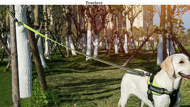 Wielofunkcyjna regulowana smycz dla psa Truelove 7w1 - odblaskowa, uniwersalna smycz treningowa, idealna do spacerów z dwoma psami - Wianko - 4