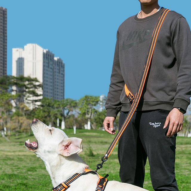 Wielofunkcyjna regulowana smycz dla psa Truelove 7w1 - odblaskowa, uniwersalna smycz treningowa, idealna do spacerów z dwoma psami - Wianko - 3