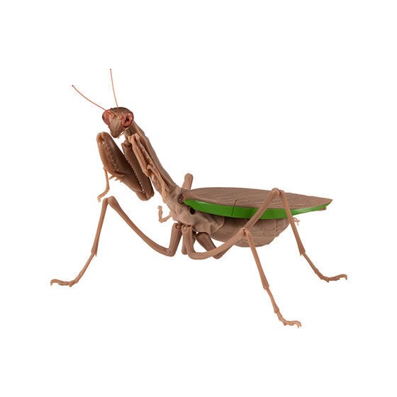 Figurka akcji Bandai Gashapon Mantis Gacha ruchome stawy owad Anime Model - Wianko - 7