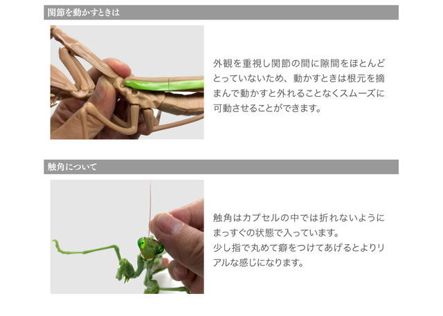 Figurka akcji Bandai Gashapon Mantis Gacha ruchome stawy owad Anime Model - Wianko - 26
