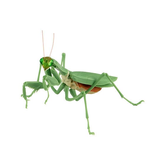 Figurka akcji Bandai Gashapon Mantis Gacha ruchome stawy owad Anime Model - Wianko - 4