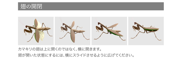 Figurka akcji Bandai Gashapon Mantis Gacha ruchome stawy owad Anime Model - Wianko - 21