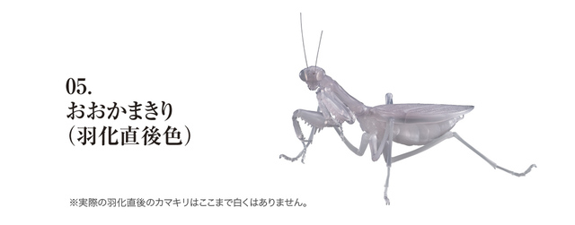 Figurka akcji Bandai Gashapon Mantis Gacha ruchome stawy owad Anime Model - Wianko - 31