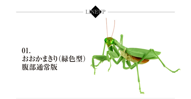 Figurka akcji Bandai Gashapon Mantis Gacha ruchome stawy owad Anime Model - Wianko - 27