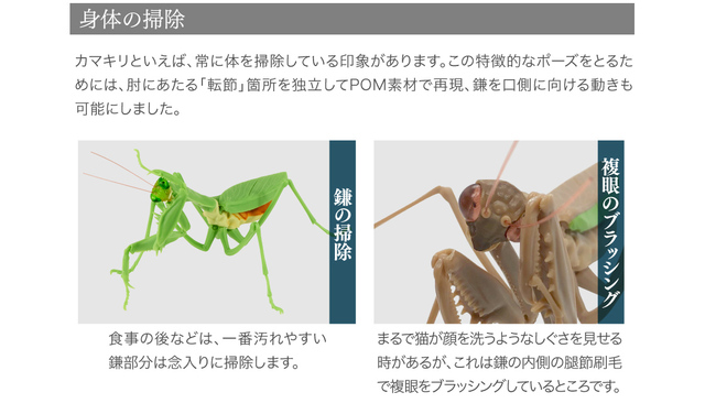 Figurka akcji Bandai Gashapon Mantis Gacha ruchome stawy owad Anime Model - Wianko - 13