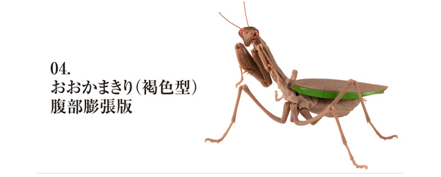 Figurka akcji Bandai Gashapon Mantis Gacha ruchome stawy owad Anime Model - Wianko - 30