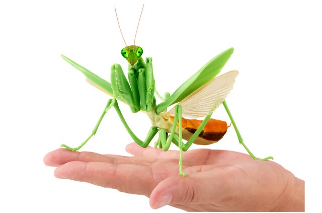 Figurka akcji Bandai Gashapon Mantis Gacha ruchome stawy owad Anime Model - Wianko - 9