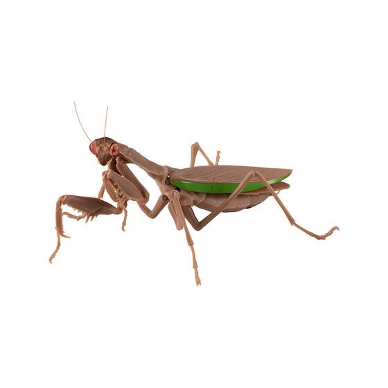 Figurka akcji Bandai Gashapon Mantis Gacha ruchome stawy owad Anime Model - Wianko - 6
