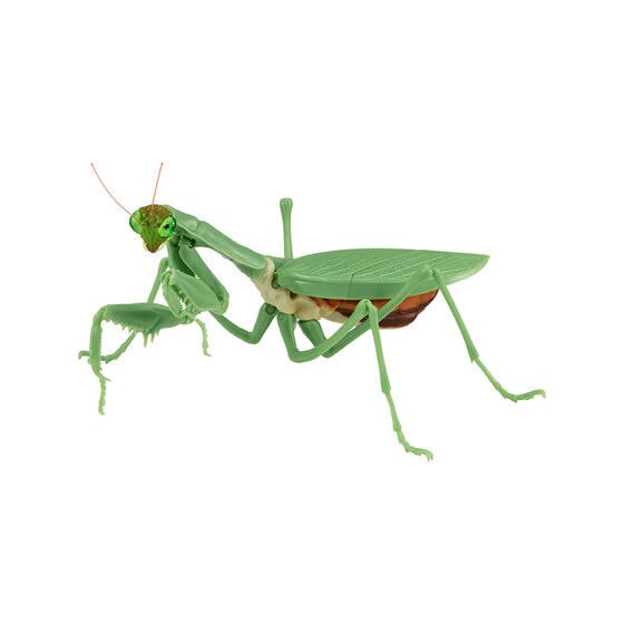 Figurka akcji Bandai Gashapon Mantis Gacha ruchome stawy owad Anime Model - Wianko - 5