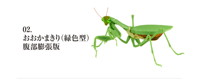 Figurka akcji Bandai Gashapon Mantis Gacha ruchome stawy owad Anime Model - Wianko - 28