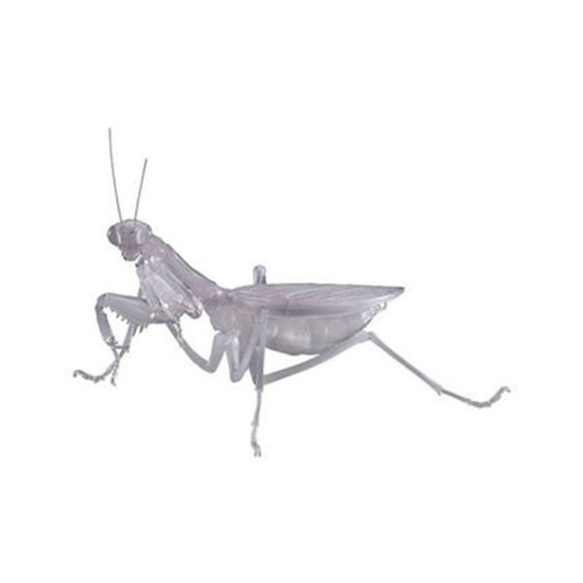 Figurka akcji Bandai Gashapon Mantis Gacha ruchome stawy owad Anime Model - Wianko - 8