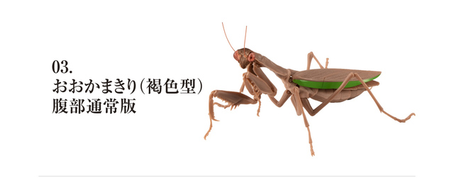 Figurka akcji Bandai Gashapon Mantis Gacha ruchome stawy owad Anime Model - Wianko - 29