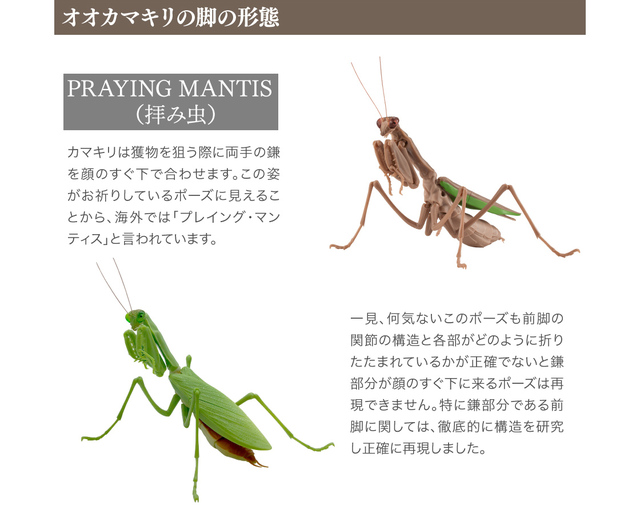 Figurka akcji Bandai Gashapon Mantis Gacha ruchome stawy owad Anime Model - Wianko - 10