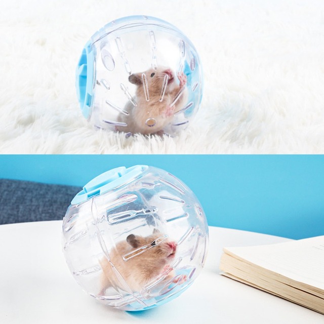 Plastikowa piłka sportowa na zewnątrz dla małych zwierząt - piłka ćwiczebna dla gryzoni - Wianko - 5