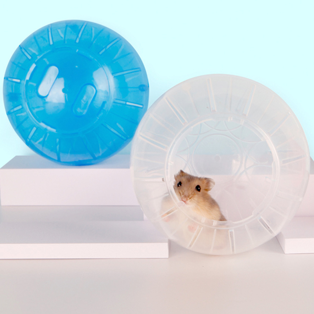 Plastikowa piłka sportowa na zewnątrz dla małych zwierząt - piłka ćwiczebna dla gryzoni - Wianko - 2