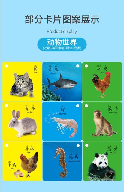 Karta edukacyjna do wczesnego czytania i pisania dla dzieci Pinyin - Kawaii Libros - Wianko - 9