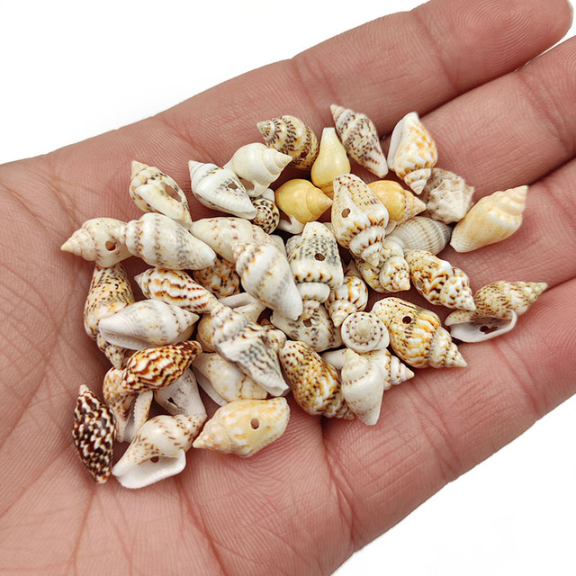 Koraliki Cowrie Conch 7*14mm 100 sztuk - małe, naturalne morskie ślimaki z otworami do biżuterii DIY i dekoracji plażowych - Wianko - 1