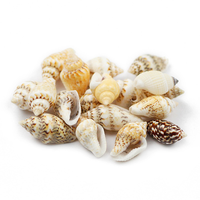 Koraliki Cowrie Conch 7*14mm 100 sztuk - małe, naturalne morskie ślimaki z otworami do biżuterii DIY i dekoracji plażowych - Wianko - 3