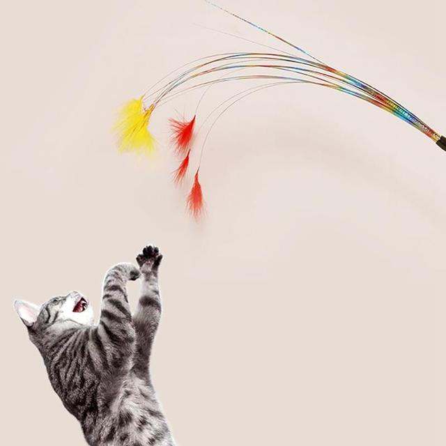 Kolorowy Teaser Wand z piórem dla kota - interaktywna zabawka dla kociąt - Wianko - 4
