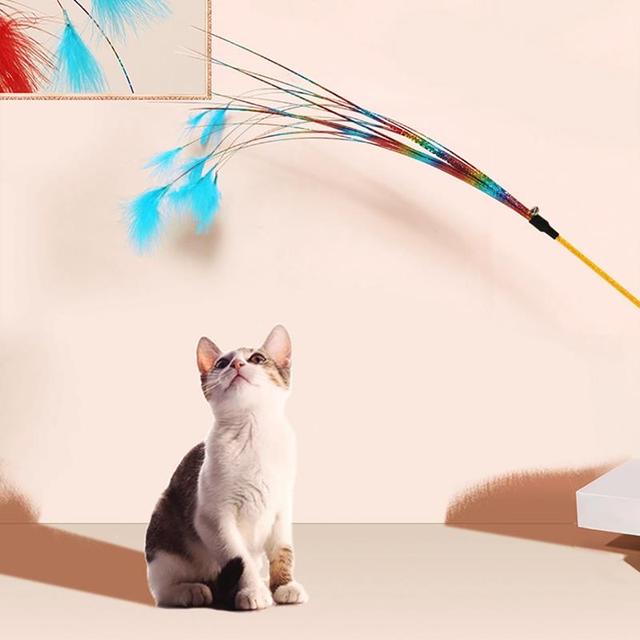 Kolorowy Teaser Wand z piórem dla kota - interaktywna zabawka dla kociąt - Wianko - 3