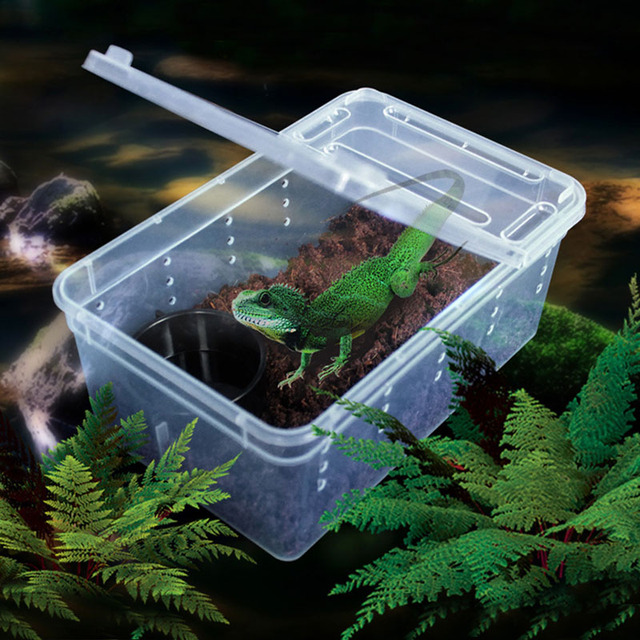 Pudełko transportowe dla gadów hodowanych w terrariach z przezroczystego plastiku, umożliwiające oddychanie i karmienie żywym pożywieniem - Wianko - 17