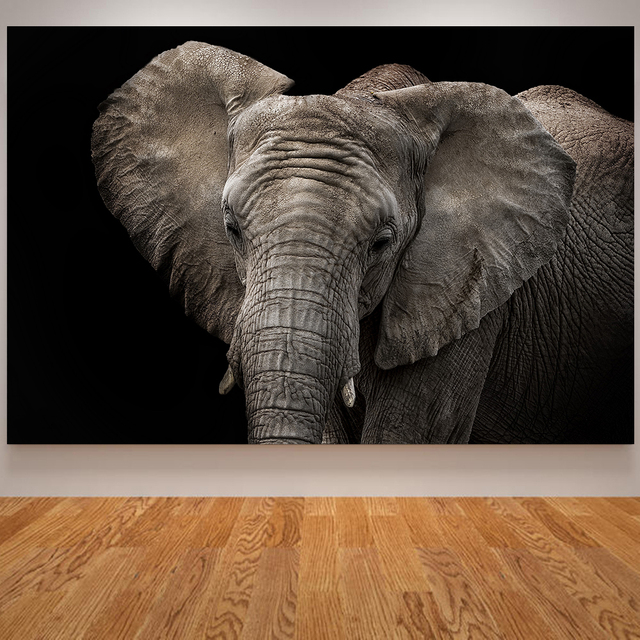 Plakat ściany z nadrukiem zwierząt - Płótno artystyczne kot, nosorożec, zebra, lew, słoń - Wianko - 6