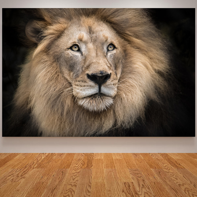 Plakat ściany z nadrukiem zwierząt - Płótno artystyczne kot, nosorożec, zebra, lew, słoń - Wianko - 5