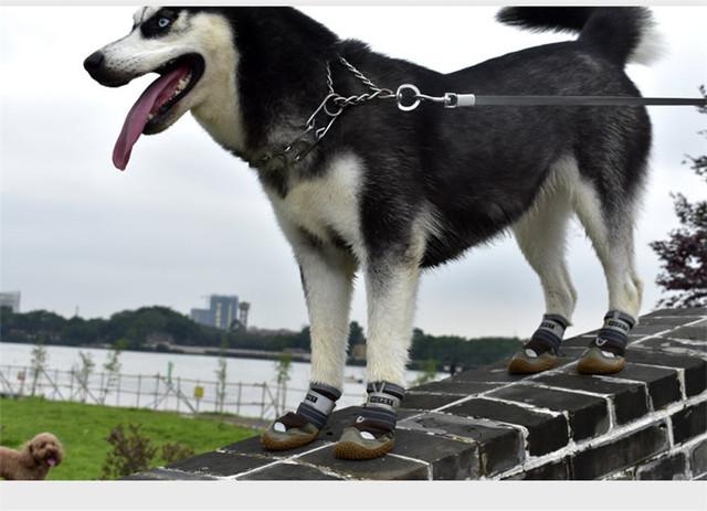 Zestaw 4 sztuk oddychających butów na duże psy - antypoślizgowe, wodoodporne i trwałe, idealne na piesze wycieczki - Wianko - 18