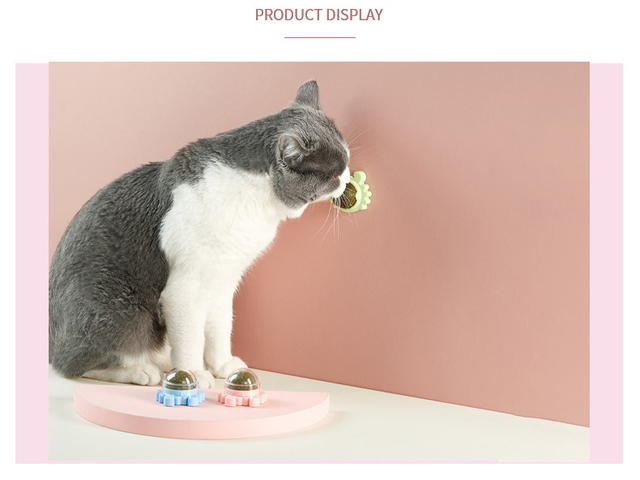 Zdrowe kocimiętkowe oraz energetyczne zabawki dla kota - piłka, cukierki i przekąska - Wianko - 17