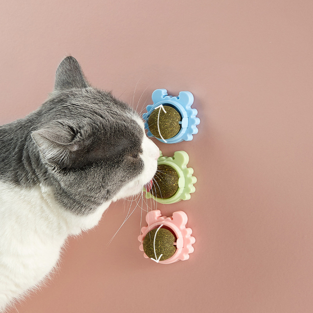 Zdrowe kocimiętkowe oraz energetyczne zabawki dla kota - piłka, cukierki i przekąska - Wianko - 12