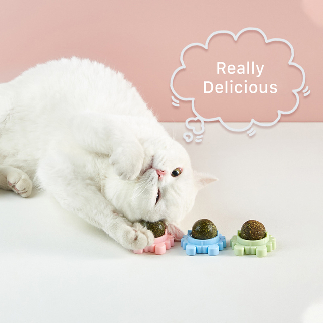 Zdrowe kocimiętkowe oraz energetyczne zabawki dla kota - piłka, cukierki i przekąska - Wianko - 10