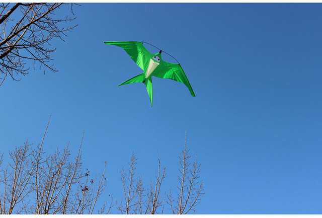 Jaskółka latawiec fox kite dla dzieci - Wianko - 9