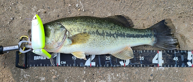 Przynęta wędkarska 165mm 60g 17 kolorów drewno-basowa Pike Luminous - Wianko - 5