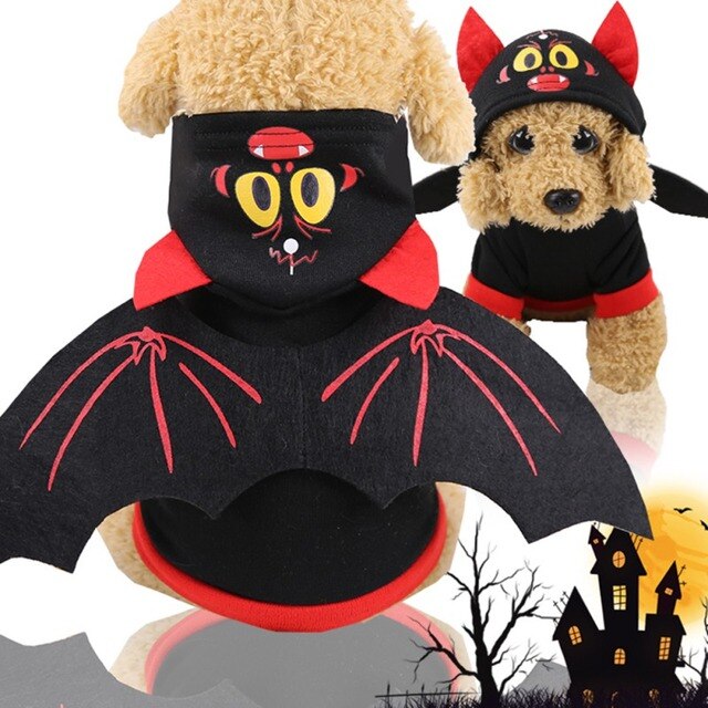 Kot kostium czaszka Halloween z dyni pająk Cosplay odzież dla kotów - Wianko - 6