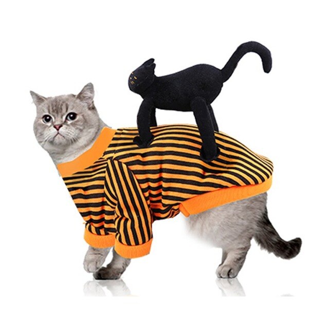 Kot kostium czaszka Halloween z dyni pająk Cosplay odzież dla kotów - Wianko - 1