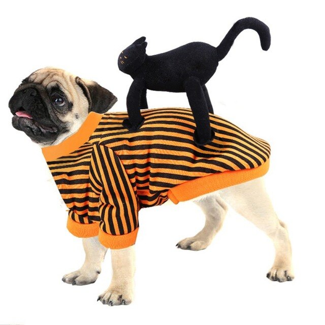 Kot kostium czaszka Halloween z dyni pająk Cosplay odzież dla kotów - Wianko - 3