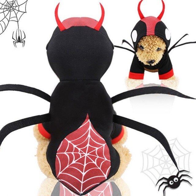 Kot kostium czaszka Halloween z dyni pająk Cosplay odzież dla kotów - Wianko - 16